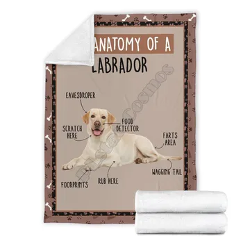 Анатомия на кучета лабрадор флисовое одеяло забавно Шерп Одеяло с 3D принтом на Легло Домашен Текстил, АКСЕСОАРИ ЗА ДОМА